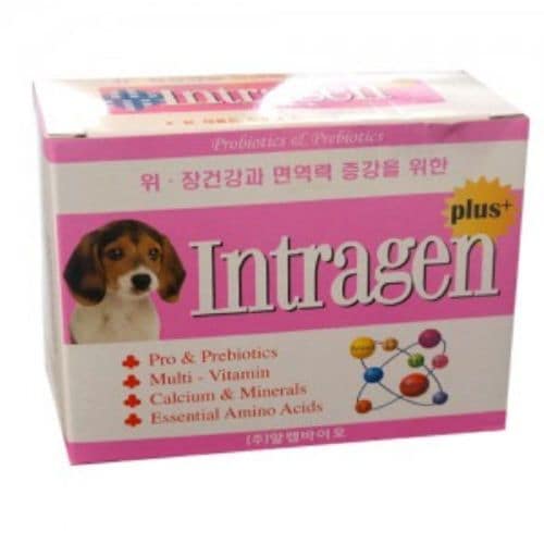 이미지1