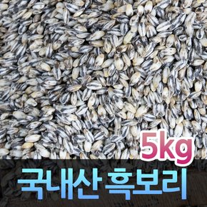 H국내산 잡곡 흑보리쌀 검정보리 흑보리 5kg