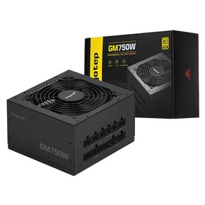 Segotep GM750W 80PLUS GOLD 풀모듈러 ATX 3.1 (PCIE5.1) 블랙