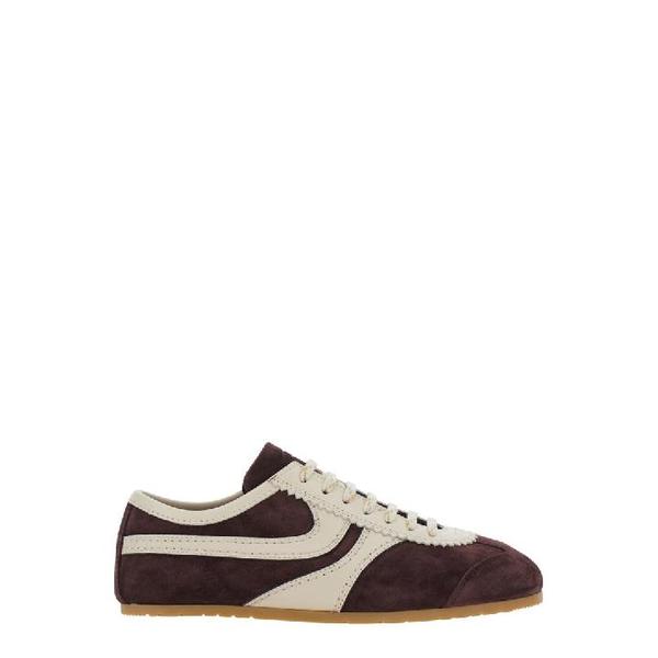 확대된 대표 img1
