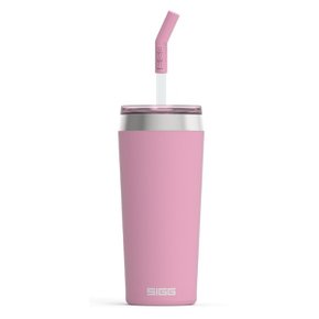 헬리아 600ml 링곤베리 빨대 텀블러 보온병