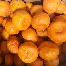 제주푸드마씸 현가원 서귀포 못난이 카라향 10kg (80-120과, 실중량)