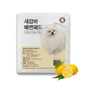ViPET 브이펫 새감바 휴대용 애견배변패드 10매 / 레몬향