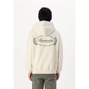 5083366 Abercrombie  Fitch SCRIPT LOGO - Hoodie birch