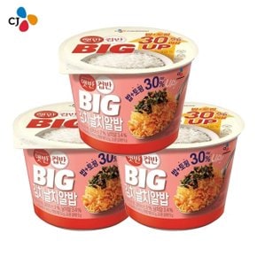 [CJ] BIG 김치날치알밥 263G 3개