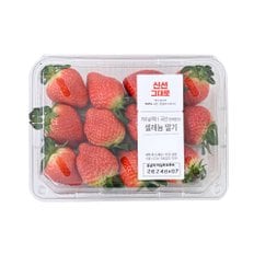 셀레늄 딸기 750g/팩