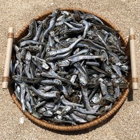 바다어보 통영 다시멸치 1.5kg 특품 남해멸치 국물멸치 대멸치