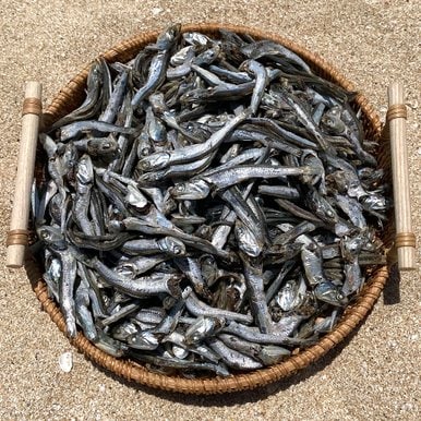 바다어보 통영 다시멸치 1.5kg 특품 남해멸치 국물멸치 대멸치