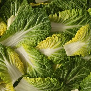 국내산 아삭한 봄동 1kg (3-6입)