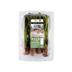  국산의 힘 제주 두릅 (200g)