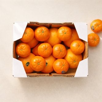 [SSG] [기획] 미국산 시트러스 컬렉션 (오렌지+만다린) 2kg 박스