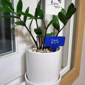 꽂이형 식물 이름표 블루
