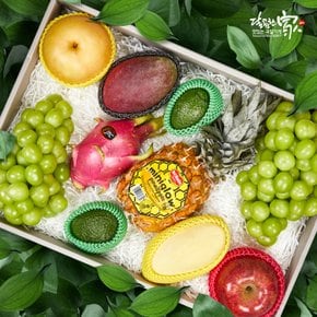 [9/21(월) 오전 9시결제건까지 명절전배송]수입과일 혼합선물세트1호 5.2kg내외(사과1+배1+골드망고1+애플망고1+샤인2+아보카도2+용과1+파인애플1)