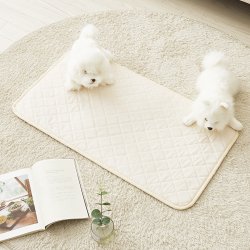 강아지 방석 대형