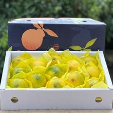 [지정일발송]제주직송 황금향 선물세트 2.5kg(대과/6-9과내외)[SSG상품권 증정이벤트]