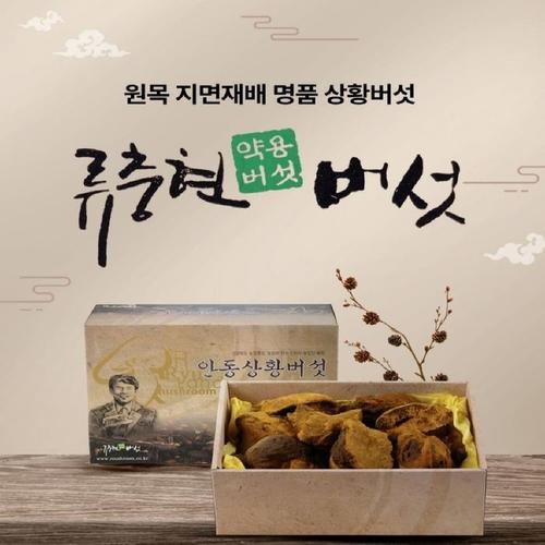 상황버섯 약용버섯 중품 500g(1)