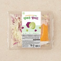 JUSTGREEN 양배추 샐러드 (300g)