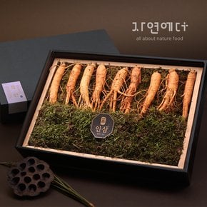 귀한분께 드리는 인삼특선세트 400g