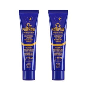 Dr. PAWPAW 닥터포포 오버 나이트 립 마스크 25ml 2팩