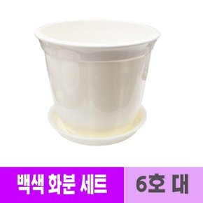 웰빙 광택 원형 백색 화분 세트 받침대포함 6호