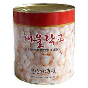 해울 락교 3kg 2개