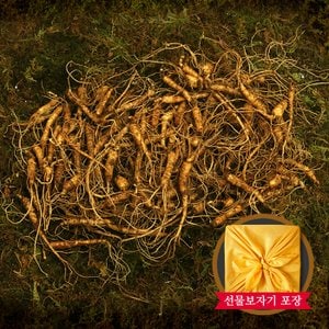 명가일품 [명가천삼] 강원도 토종 산양삼 실속형 50g(25-45뿌리)