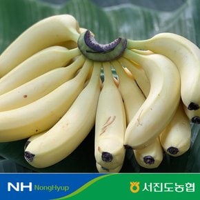 국내산 무농약 진도 바나나 3kg