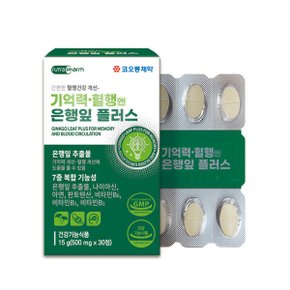 기억력 혈행엔 은행잎 플러스 혈행 개선 기억력 개선