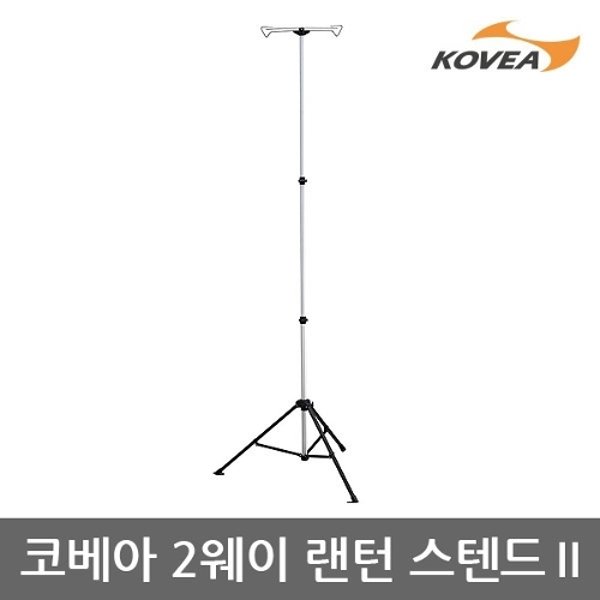 확대된 대표 image1