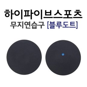 스쿼시 연습볼(파란점)