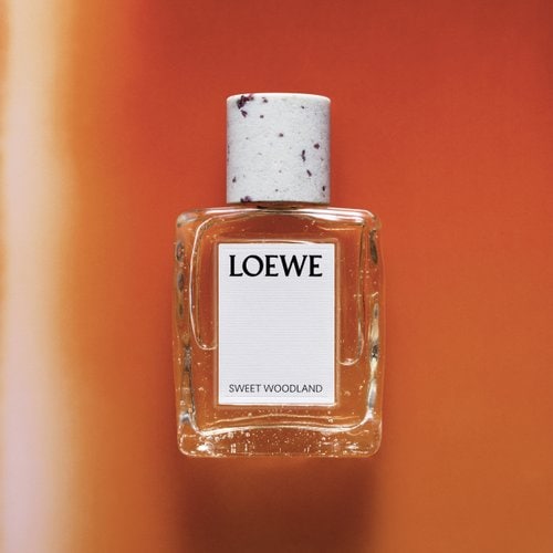 스위트 우드랜드 오 드 퍼퓸 100ML