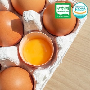 HACCP인증 무항생제 농장직송 달걀 생계란 대란 20구 1판