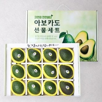 프리미엄 과일선물 미과 숲속의 버터 명품 아보카도 선물세트(중) 12과