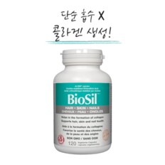 바이오실 콜라겐 제너레이터 BioSil ch-OSA 120캡슐