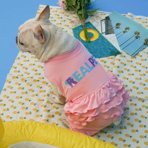 REAL PET 강아지 프릴 올인원 래쉬가드 수영복 3color (S~XL)