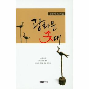 광화문 솟대 김형식제3시집 _P069143395