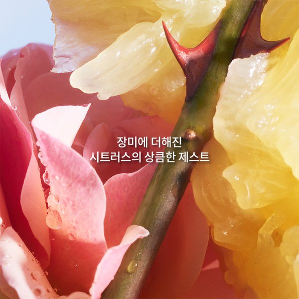 라 쁘띠 로브 느와르 오 드 뚜왈렛 30ml