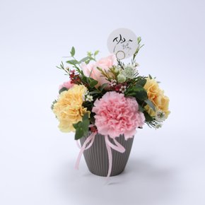감사해요 카네이션+도라지정과 500 어버이날 스승의날 감사 존경 은혜 축하 생신 기념일 선물
