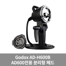 AD-H600B 분리 헤드 AD600 전용 가우포토 공식정품