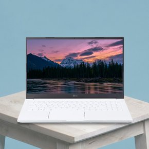 LG전자 2023 울트라PC 15UD50R-GX36K (WIN11HOME/SSD256GB/RAM8GB)