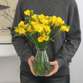 마이플랜트 생화 옐로우 프리지아 2단 꽃선물 화병 꽃 경매 꽃배달 정기구독