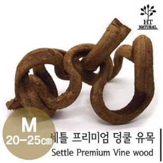  세틀 프리미엄 덩쿨 유목 M (20~25cm)