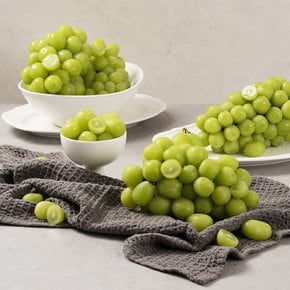 농장직송 국내산 고당도 샤인머스켓 2kg 2-3송이 화남농원