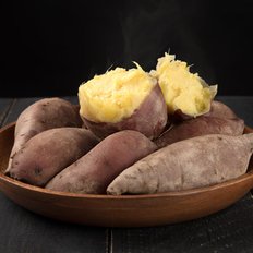 착한식탁 산지직송 해남 밤고구마 10kg 못난이
