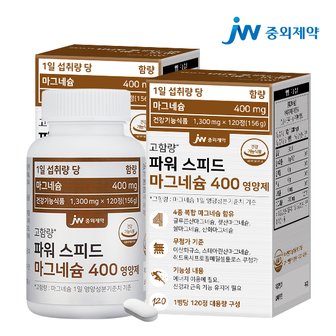 JW중외제약 파워 스피드 마그네슘 400 영양제 2병 (240정)