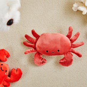 펫본 바다 친구들 장난감 크랩 노즈워크,삑삑,바스락