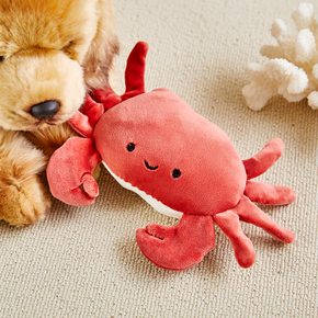 펫본 바다 친구들 장난감 크랩 노즈워크,삑삑,바스락