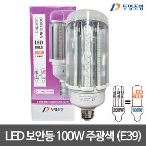 LED 투명 보안등 E39 100W 주광색 LED보안등