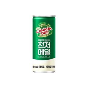 캐나다드라이 진저에일 250ml