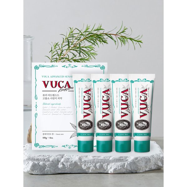 어드밴스드 시린이 치약 클래식민트향 110g 4개입